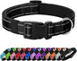 Reflective Dog Collar Padded by Penseepet