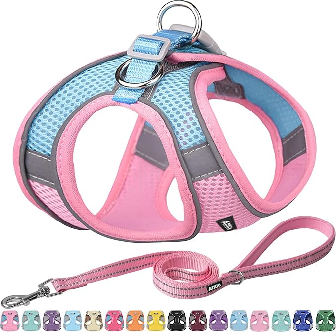 AIITLE Comfortable Dog Harness and Leash Set by AIITLE-FORPETSBETTERLIFE