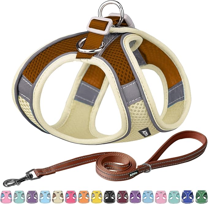 AIITLE Comfortable Dog Harness and Leash Set by AIITLE-FORPETSBETTERLIFE