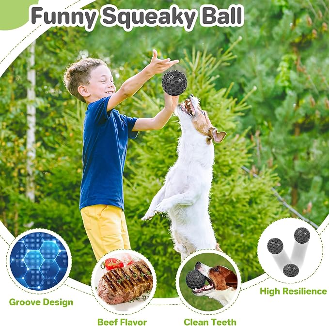 Interactive Squeaky Dog Balls Puppy Toys, Dog Toys - Image 4