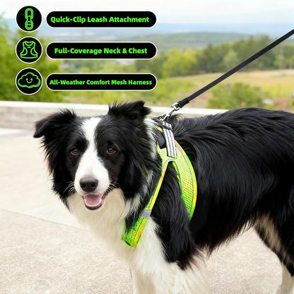 ROYPET Step-in Air Dog Harness, All Weather Mesh Step in Vest Harness - Image 3
