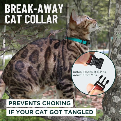 OutdoorBengal Red Breakaway Kitten Collar - Image 2