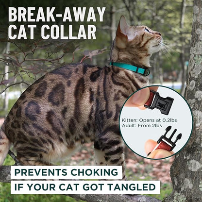 OutdoorBengal Orange Cat Collar Breakaway, Soft Padding - Image 2