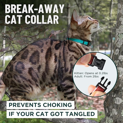 OutdoorBengal Green Breakaway Kitten Collar - Image 2