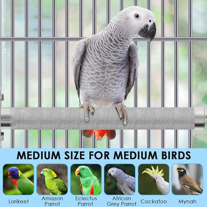 KATUMO Bird Perch - Image 5