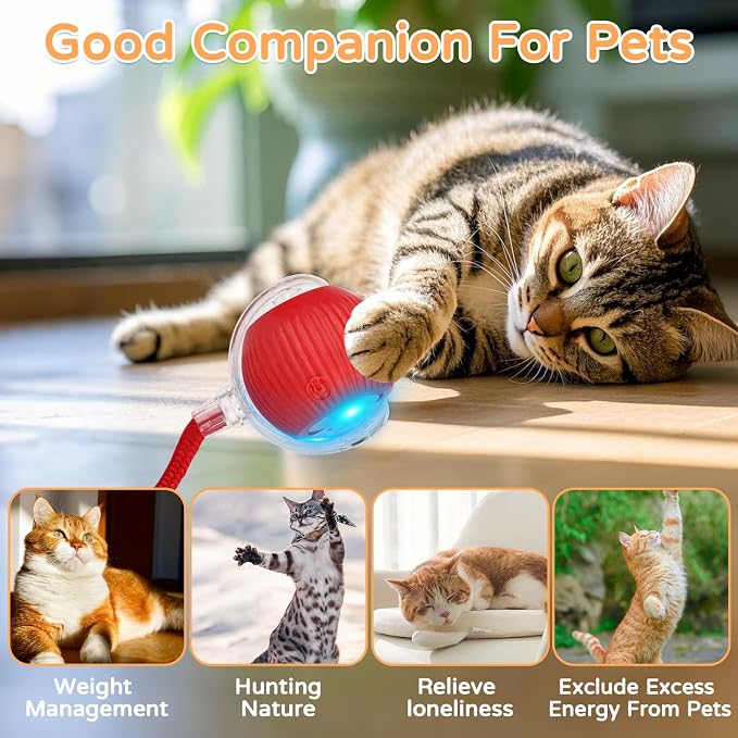 2025 New 3Pack Cat Ball Kitten Toys - Image 8