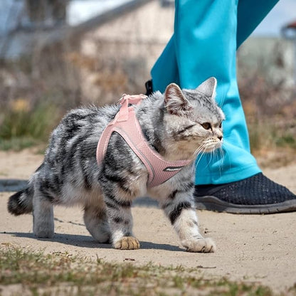 PetiFine Extra Small Step in Dog Harness and Leash Set, Cat Harness and Leash - Image 8