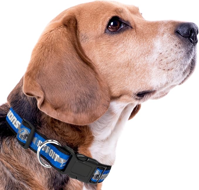 NFL PET Collar Detroit Lions Dog Collar, X-Large Football Team Collar - Image 7