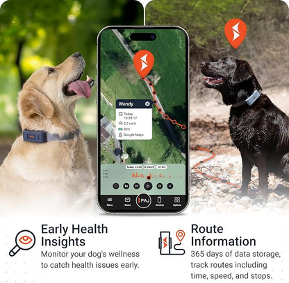 PAJ GPS Dog Tracker - 4G Real-Time Tracking & Runaway Alerts - Waterproof - Image 3