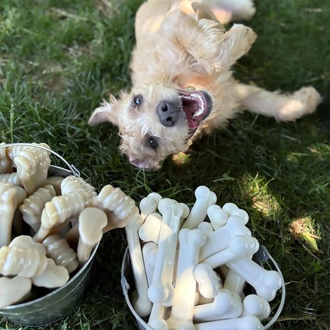 Nylabone Original Bone Power Chew Toy - Image 10