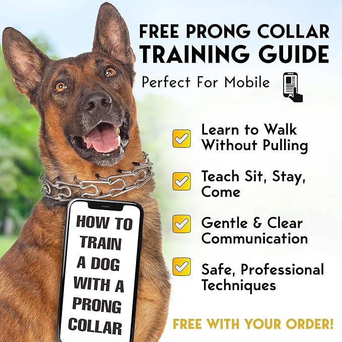 PetJett Prong Collar for Dogs - Image 7