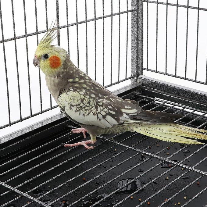 Yaheetech 60.5inch Extra Large Bird Cage Metal Parrot Cage Flight Cage - Image 7