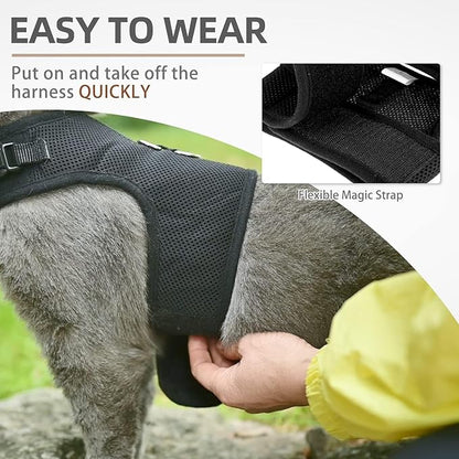 PUPTECK Soft Mesh Cat Vest Harness and Leash Set Puppy Padded Pet Harnesses - Image 5