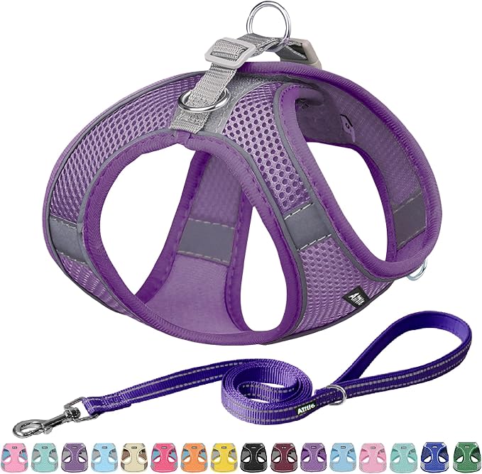 AIITLE Dog Harness, No-Pull Cat Harness by AIITLE-FORPETSBETTERLIFE