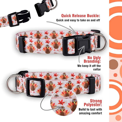 Native Pup Thanksgiving Dog Collar- Fall Collars - Image 4