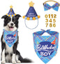 ADOGGYGO Dog Birthday Party Supplies, Party Hat by ADOGGYGO