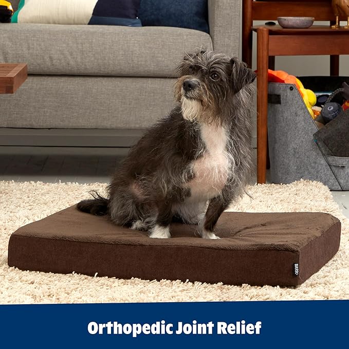 Barkbox Orthopedic Dog Bed | Comfortable Memory Foam Mattress - Image 6