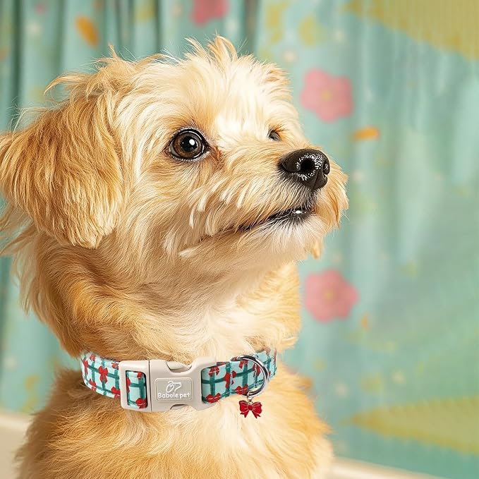 Christmas Dog Collar for Giant Large Dogs - Image 7