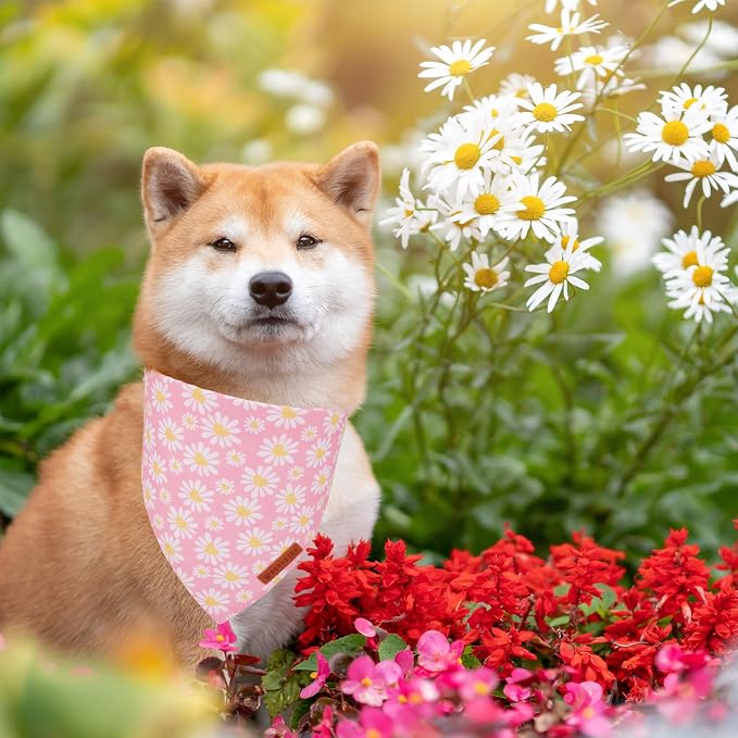 ADOGGYGO Floral Dog Bandana 2 Pack, Reversible Pink Daisy Puppy Scarf Bib - Image 2