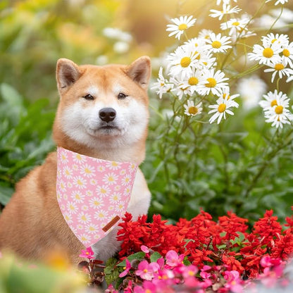 ADOGGYGO Floral Dog Bandana 2 Pack, Reversible Pink Daisy Pet Scarf Bib - Image 3