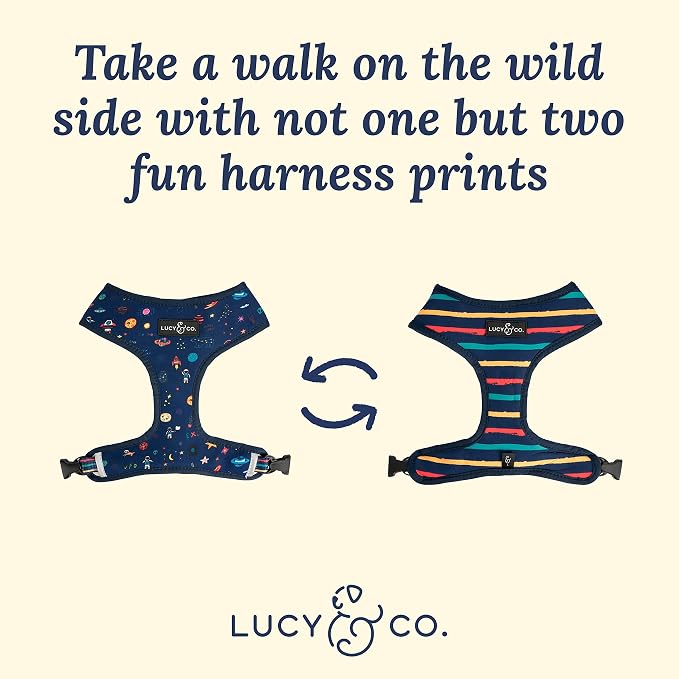 Lucy & Co. Cute Reversible Dog Harness Walking Halter - Image 3