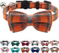 Joytale Upgraded Cat Collar by Joytale