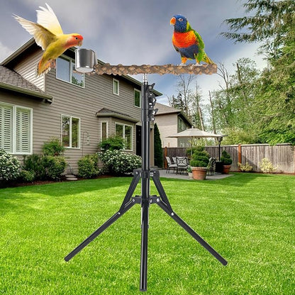 Adjustable Bird Perch Stand, 16-62 Inch Height Adjustable Bird Training Perch - Image 4