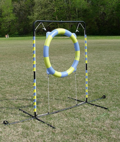 Agility Tire Jump - Image 3