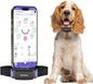 V3.0 Dog Health Monitor – AI Health Collar by PetPace30AiHealthCollar