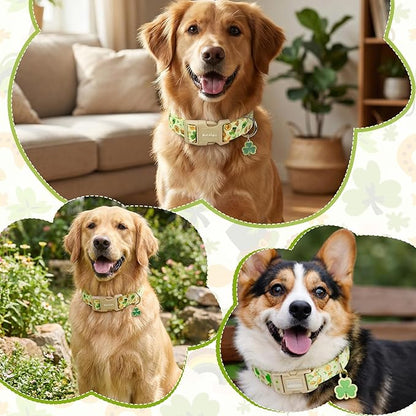 St. Patrick's Day Dog Collar, Light Green Puppy Collar - Image 5