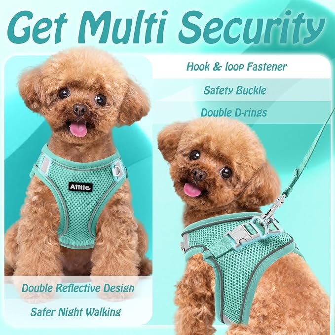 AIITLE Small Harness for Puppy - Image 3