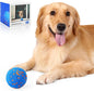 Smart Interactive Dog Toys, Vibrating Dog Ball, Electric Dog Chew Toys by PawBuddies