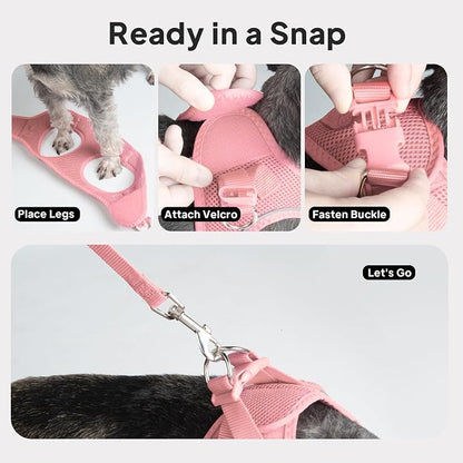 PetiFine Step in Small Dog Harness and Leash Set, Breathable All Weather Air - Image 9