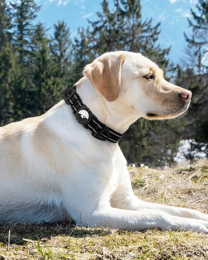 Joytale Airtag Dog Collar, Dual D-Rings, Waterproof Reflective Pet Collar - Image 8
