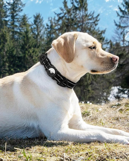 Joytale Airtag Dog Collar, Dual D-Rings, Reflective Pet Collar - Image 8