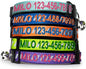 Pawtitas Personalized Orange Reflective Cat Collar – Adjustable Custom Collar by Pawtitas