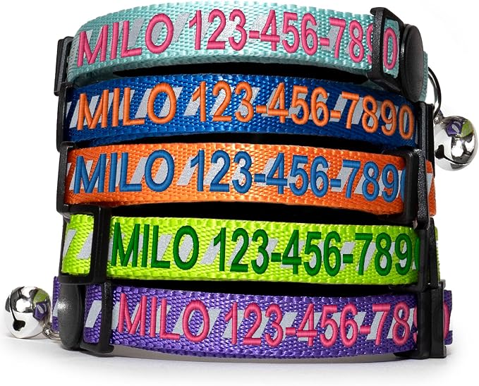 Pawtitas Personalized Green Reflective Cat Collar – Adjustable Custom Collar by Pawtitas