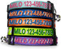 Pawtitas Personalized Teal Reflective Cat Collar – Adjustable Custom Collar by Pawtitas
