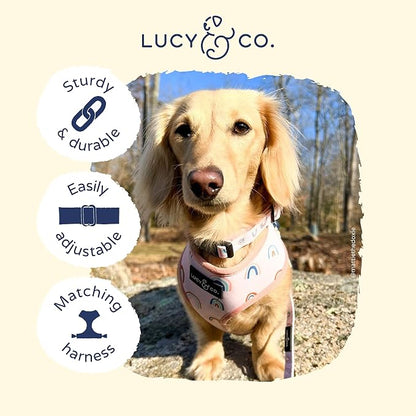 Lucy & Co. in The Clouds Adjustable Dog Collar- Cute Designer Pet Collar - Image 3
