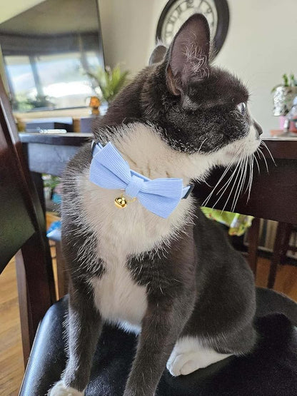 Cotton Breakaway Kitten Collar - Image 5