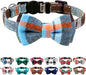 Joytale Upgraded Cat Collar by Joytale