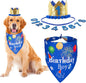 ADOGGYGO Dog Bandana Hat Set for Birthday Party Supply, Boy Girl Pet Birthday by ADOGGYGO
