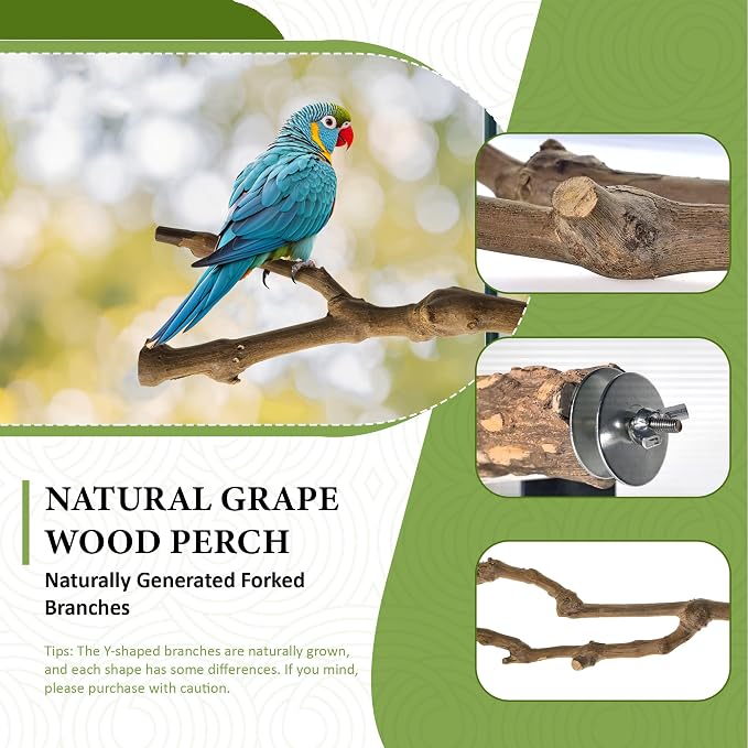 8pcs Bird Perches for Cage, Natural Wood Bird Perch for Parakeet/Cockatiel - Image 2