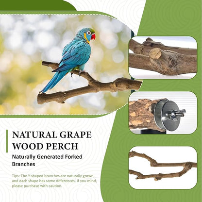 8pcs Bird Perches for Cage, Natural Wood Bird Perch for Parakeet/Cockatiel - Image 2
