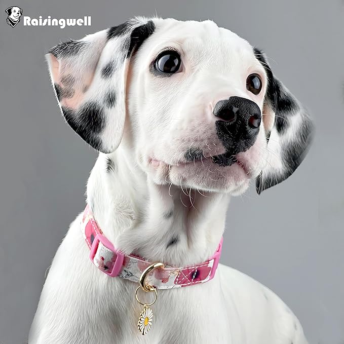 Cotton Dog Collar Light Pink Flower Pattern - Image 5