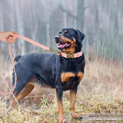 Didog Soft PU Leather Dog Collar, Stylish Quick Released Dog Collars - Image 3