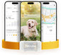 Petcube GPS Tracker for Dogs | Pet GPS Location Tracker by Petcube