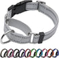 Martingale Dog Collar, Adjustable Nylon Reflective Collar by JOYEEIIOO