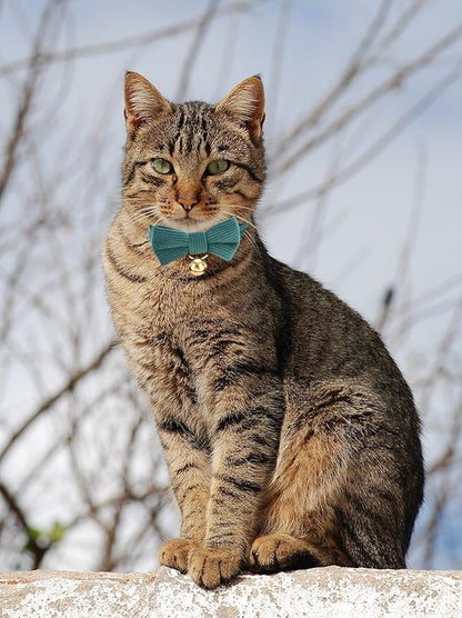 2 Pack Soft Corduroy Cat Collars - Image 6