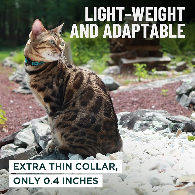 OutdoorBengal Pink Breakaway Kitten Collar - Image 6